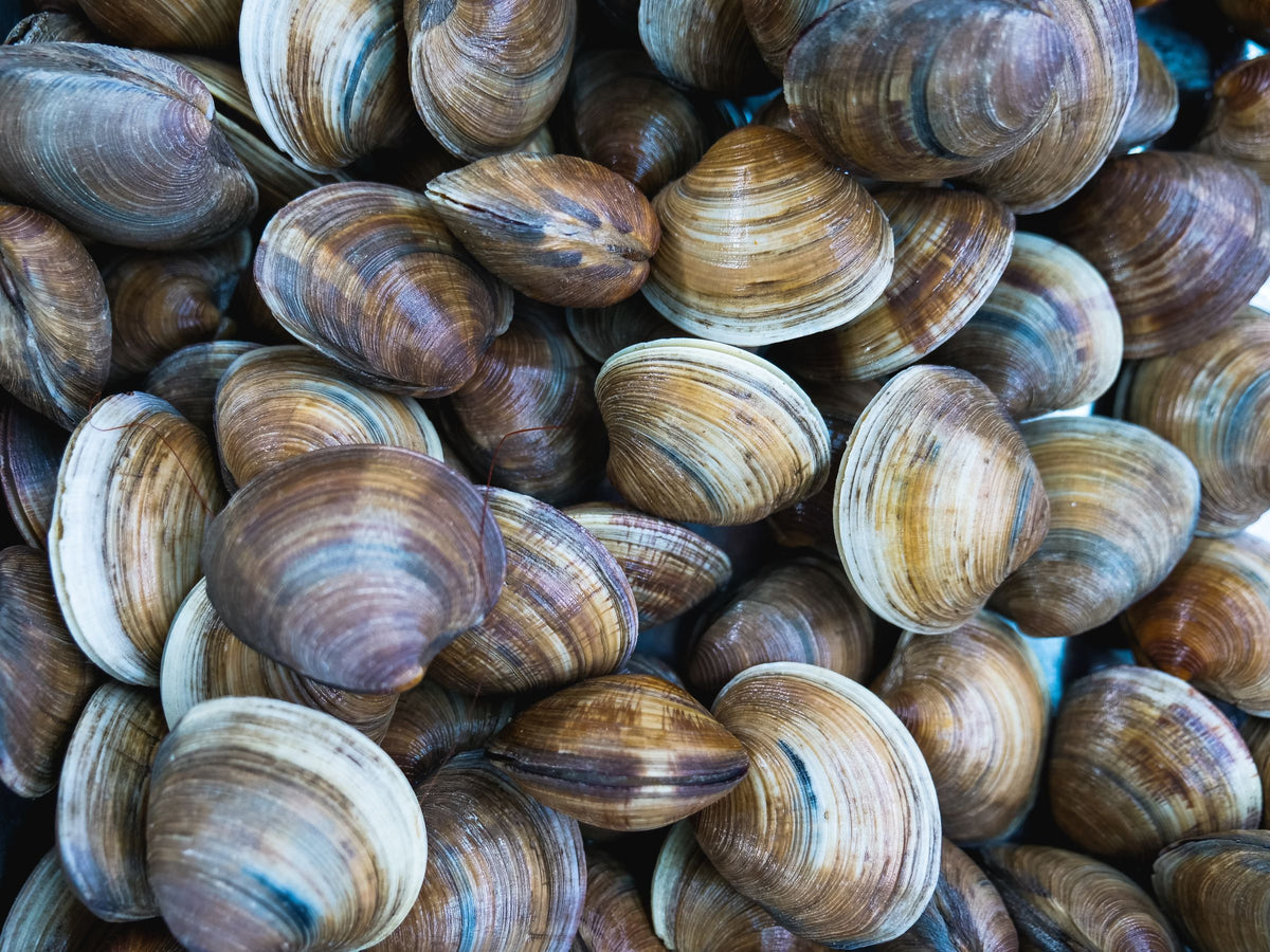 frozen seafood