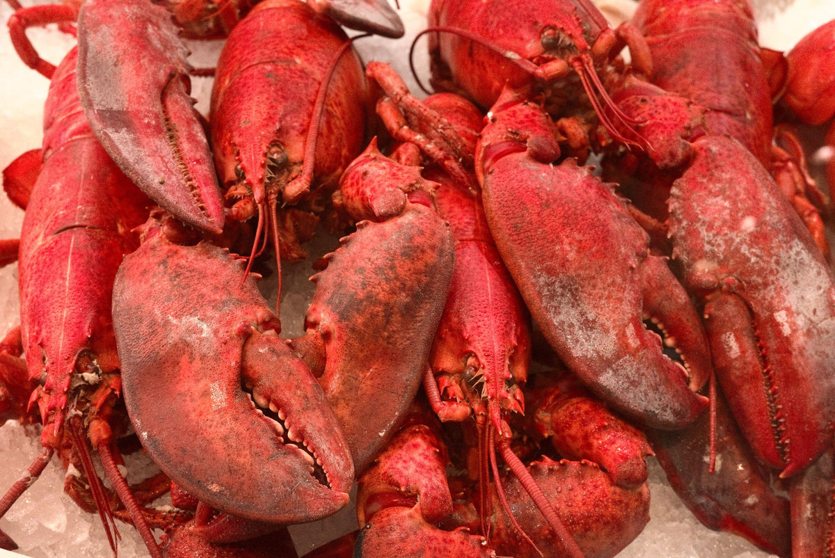 frozen seafood